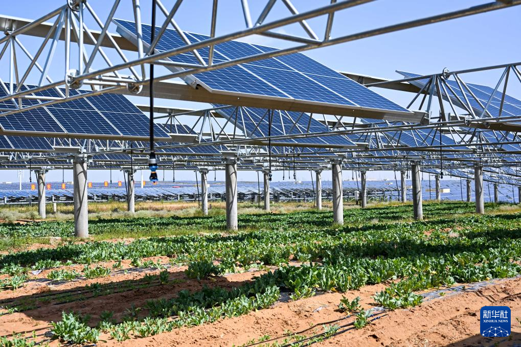 615995acd2e56bd0c188a3a276222caa_2025090461bb06a5b9bb4a699ecc8f0e9bc69bad_202509042dee1def30834163afbf538ed509482c.jpg 615995acd2e56bd0c188a3a276222caa_2025090461bb06a5b9bb4a699ecc8f0e9bc69bad_202509042dee1def30834163afbf538ed509482c.jpg