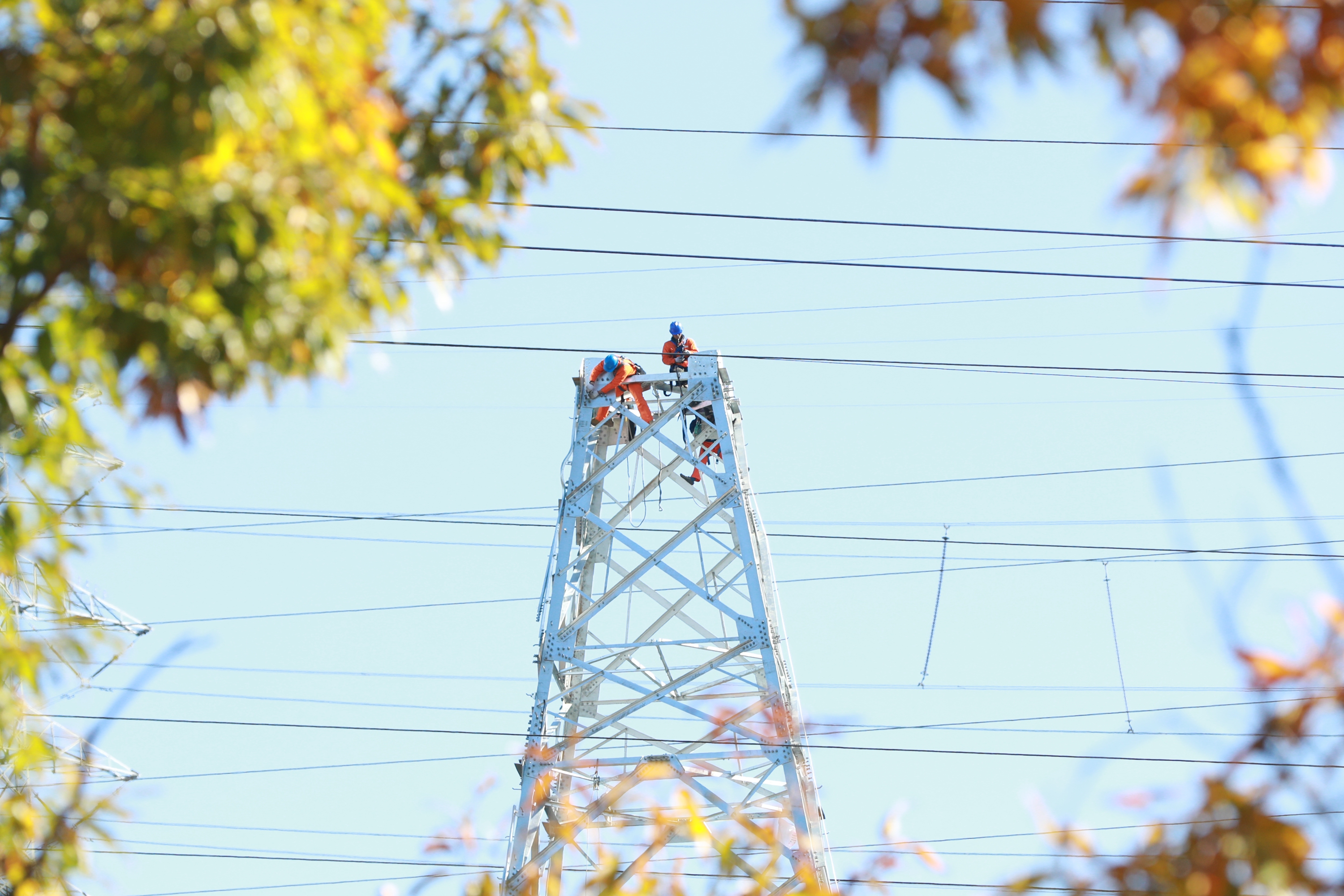 9f4ba123ccc909a174e22598ad2a12e6.jpg 9f4ba123ccc909a174e22598ad2a12e6.jpg