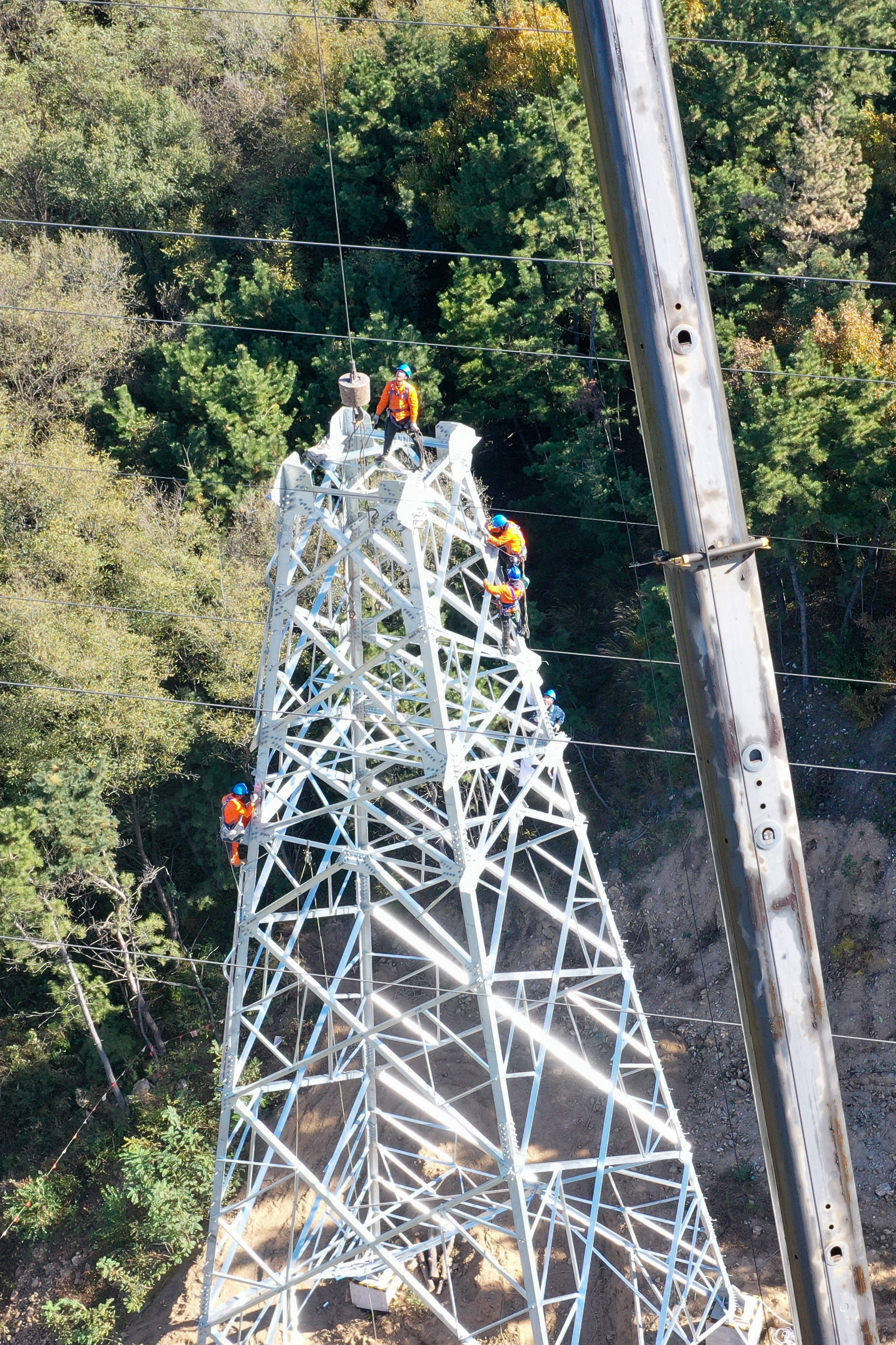 f6202825e5e43bff304661f5ec219bf7.jpg f6202825e5e43bff304661f5ec219bf7.jpg