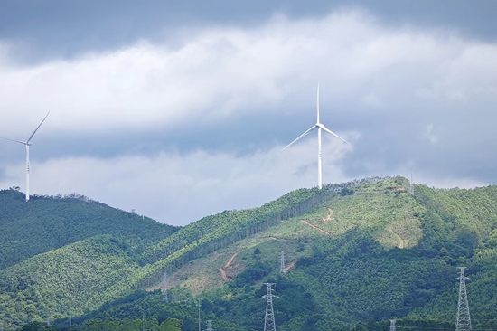 110千伏淳霞赤線為南寧橫縣那莫風(fēng)電場(chǎng)綠電輸送搭建“高速路”。羅文旗 攝