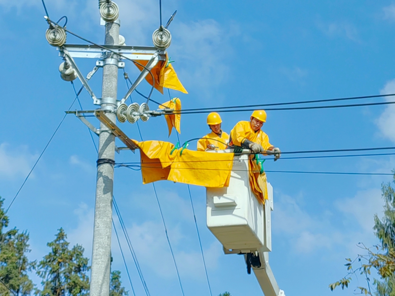 南方電網(wǎng)工作人員在遵義市務(wù)川仡佬族苗族自治縣大坪鎮(zhèn)開展帶電作業(yè)，保障群眾冬季用電無憂。王君輝攝.jpg