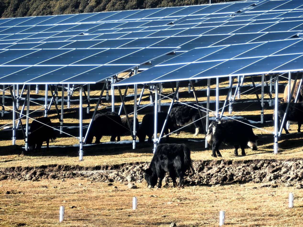 9d5bfba7e3578b76be032f3263cb305e_W020260402633675387477.png 9d5bfba7e3578b76be032f3263cb305e_W020260402633675387477.png