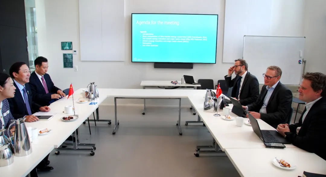 中國全球能源互聯(lián)網(wǎng)發(fā)展合作組織主席辛保安與丹麥能源署副署長裴德森舉行會談。配圖由中國全球能源互聯(lián)網(wǎng)發(fā)展合作組織代表團提供