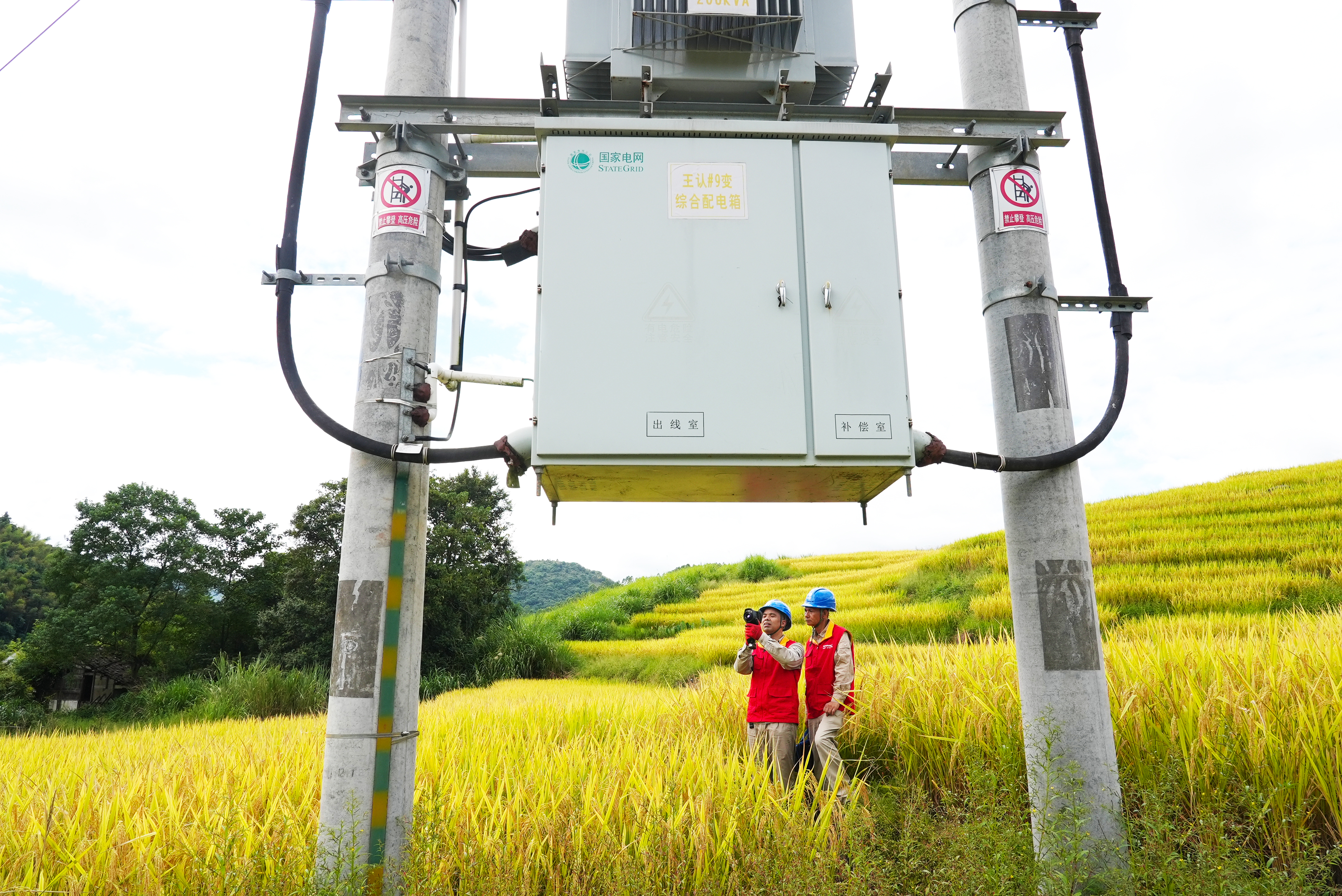 9月19日國網(wǎng)福州供電公司步洋供電所員工在福建省福州市羅源縣洪洋鄉(xiāng)王認(rèn)村對涉農(nóng)線路進(jìn)行特巡，確保當(dāng)?shù)?70多畝水稻豐收季節(jié)供電的安全可靠（陳德鈞）8.jpg