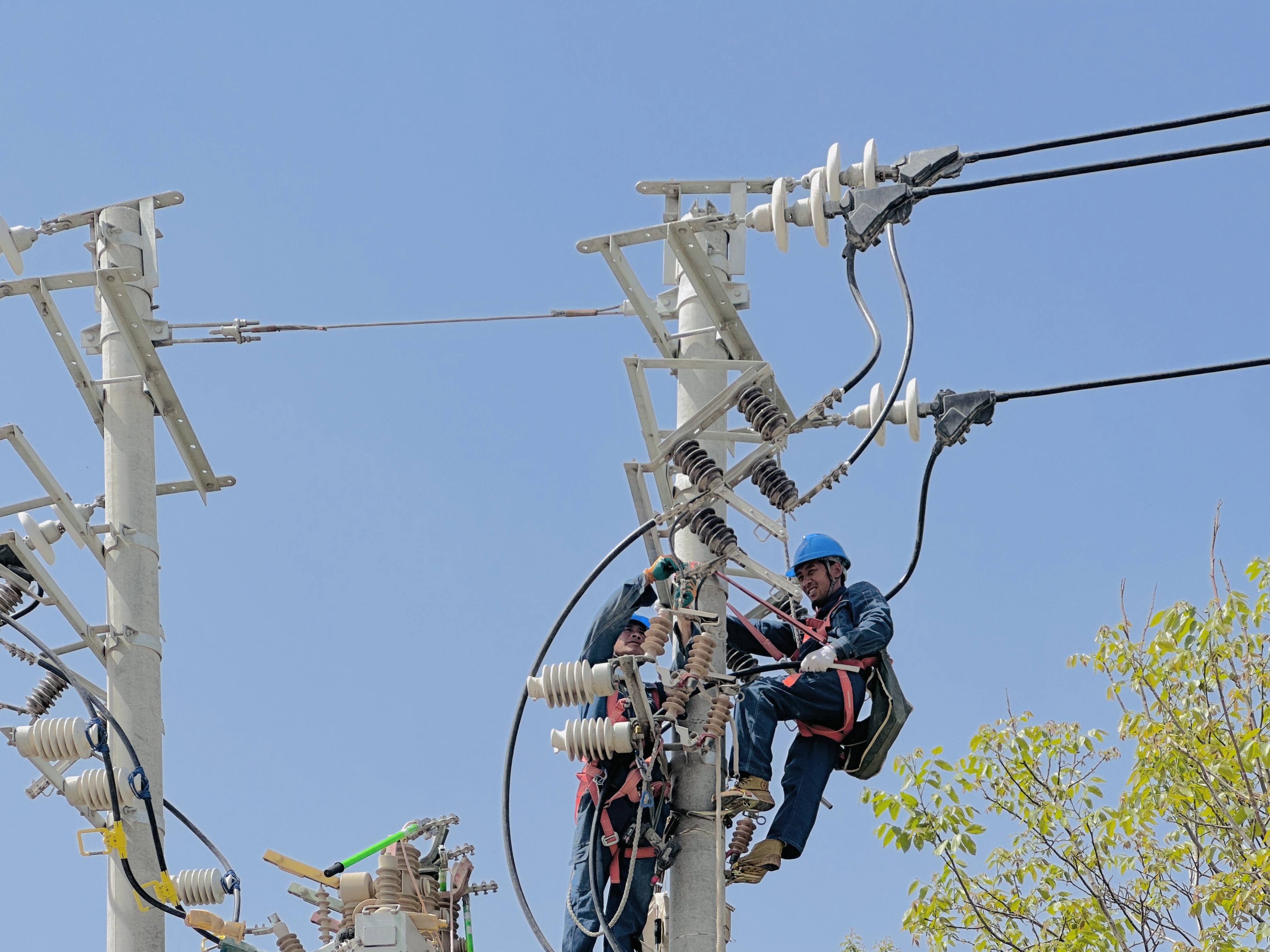 施工人員正在對(duì)10千伏包四線進(jìn)行絕緣化改造。（陳倩 攝）.JPG
