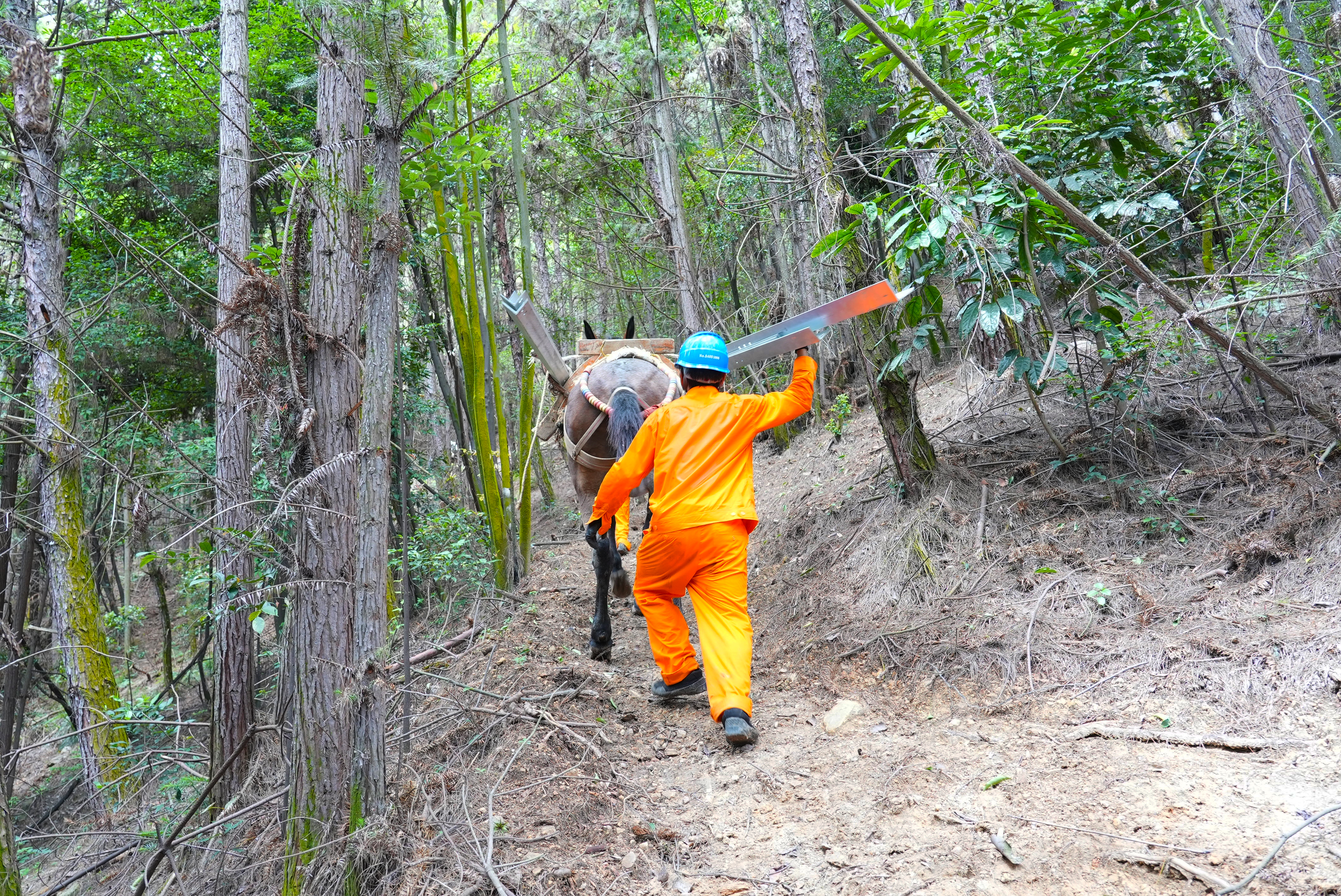 7月2日國網福州供電公司施工人員在福建省福州市閩清縣白樟鎮(zhèn)半山村使用騾馬為220千伏白<span id=
