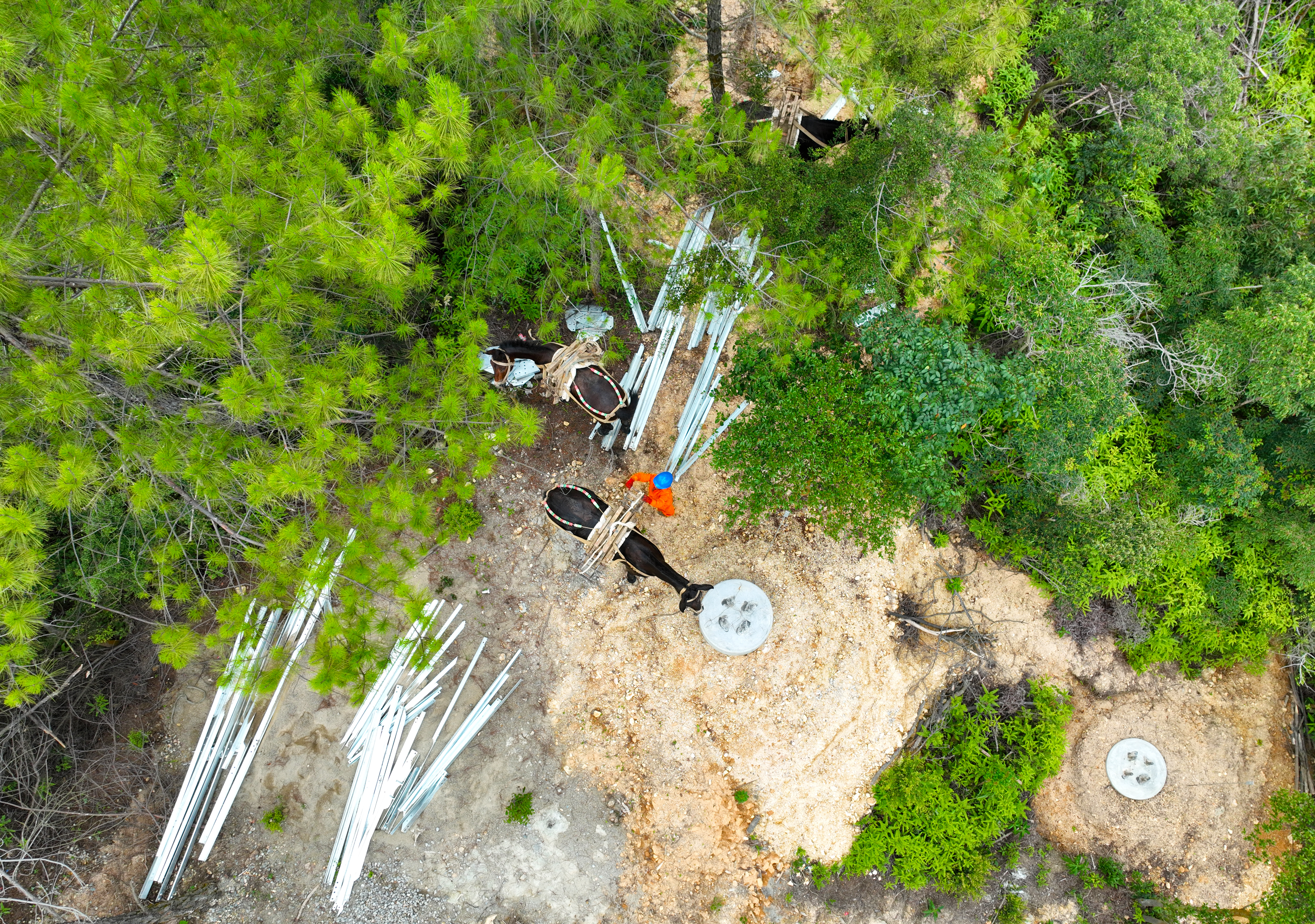 7月2日國網福州供電公司施工人員在福建省福州市閩清縣白樟鎮(zhèn)半山村使用騾馬為220千伏白<span id=