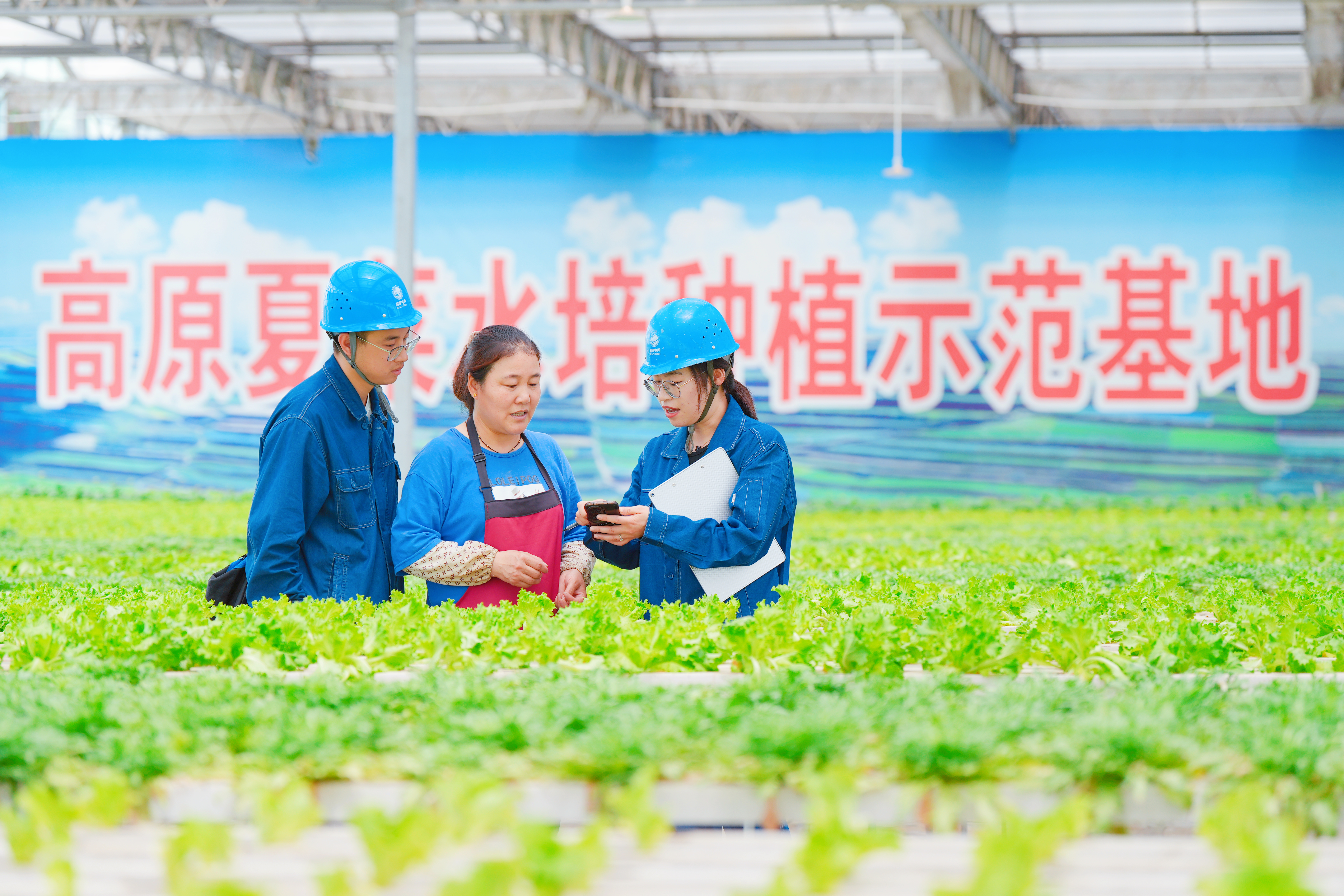 國網(wǎng)蘭州供電公司員工在甘肅蘭州榆<span id=