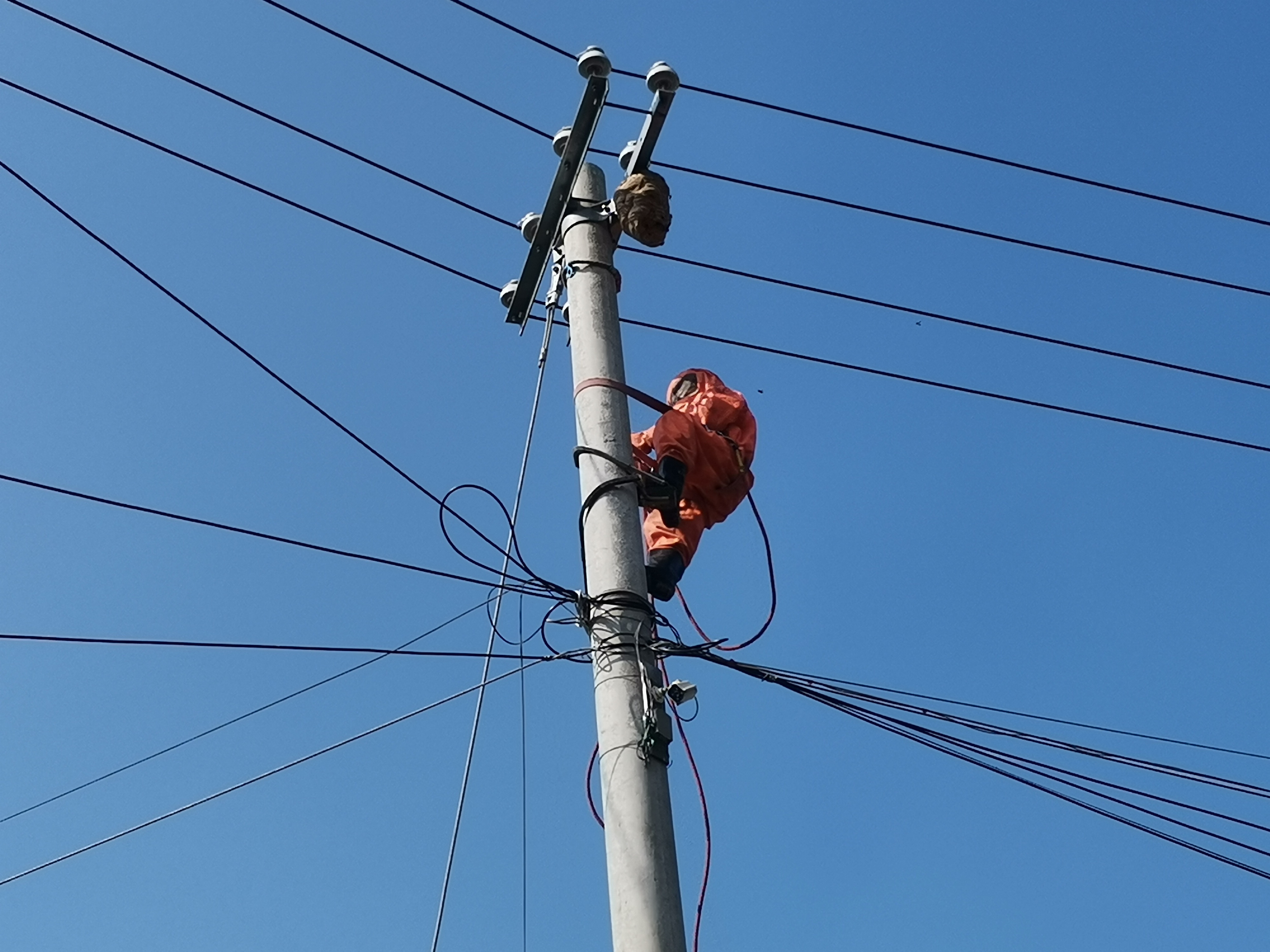 北碚公司歇馬供電所傅國兵正在處理電線桿頂端馬蜂窩.jpg