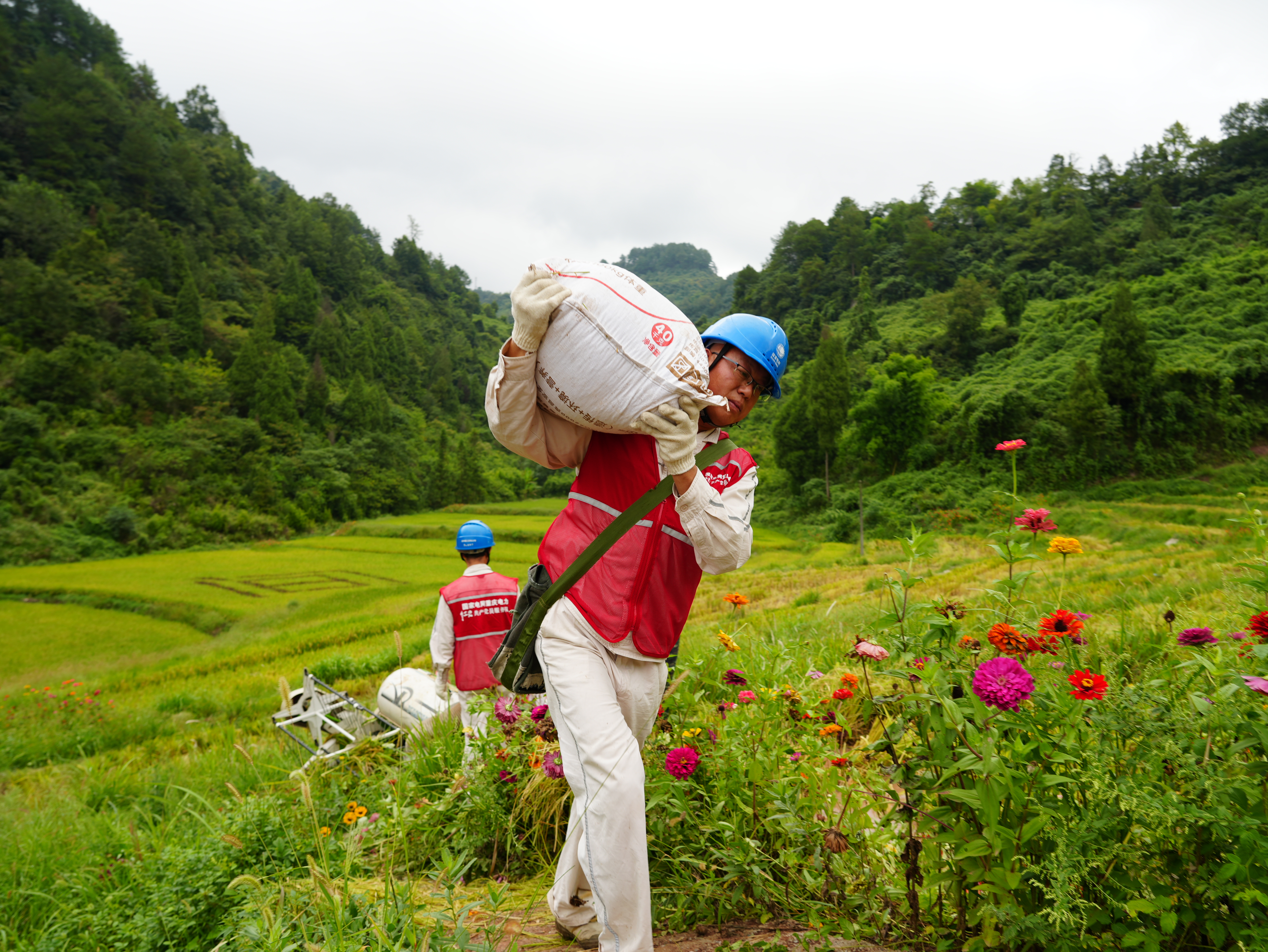 9月9日，國網(wǎng)綦江供電公司篆塘供電所員工在郭扶鎮(zhèn)龍泉村幫助村民豐收稻谷。(袁巧 攝)1.JPG