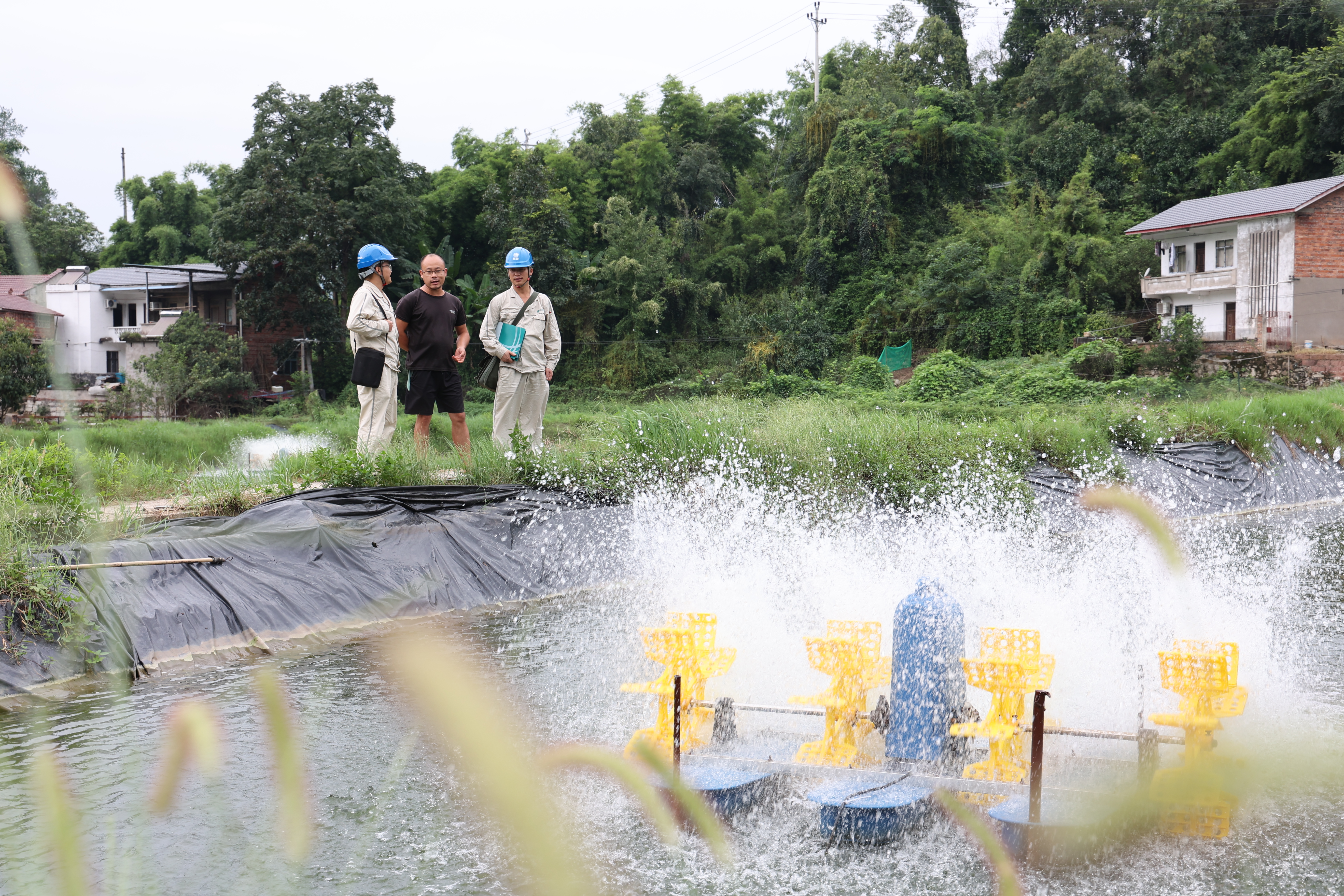 9月21日，國網(wǎng)北碚供電公司黃桷供電所工作人中在天府鎮(zhèn)石家村南美對蝦養(yǎng)殖基地了解企業(yè)用電情況。（張強攝）.JPG