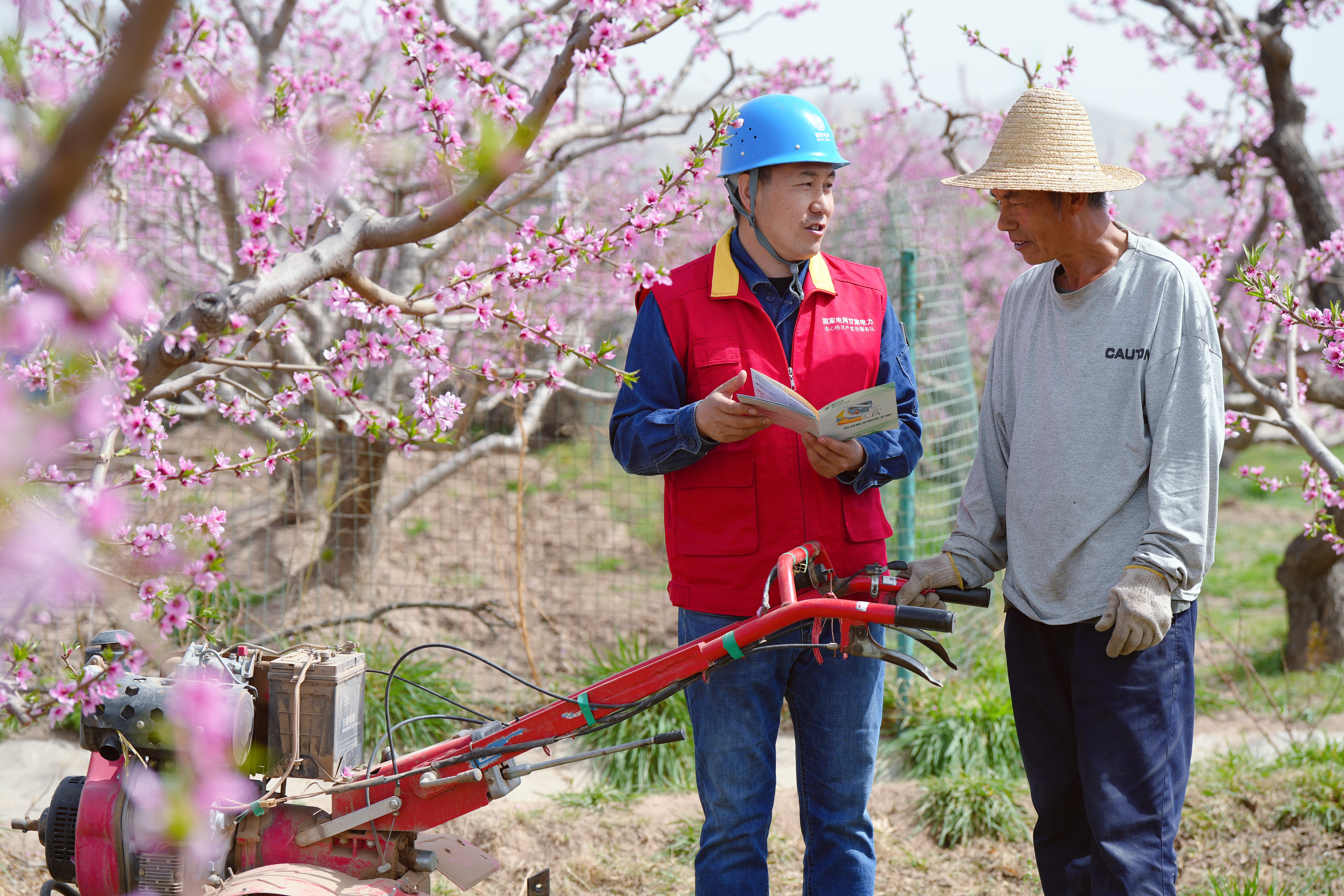 國網(wǎng)蘭州供電公司安寧供電分公司員工何占琦在安寧堡街道紅藝村社區(qū)為桃林種植戶開展春季安全用電和電費(fèi)電價(jià)政策宣傳。史雙絢攝  (1).jpg