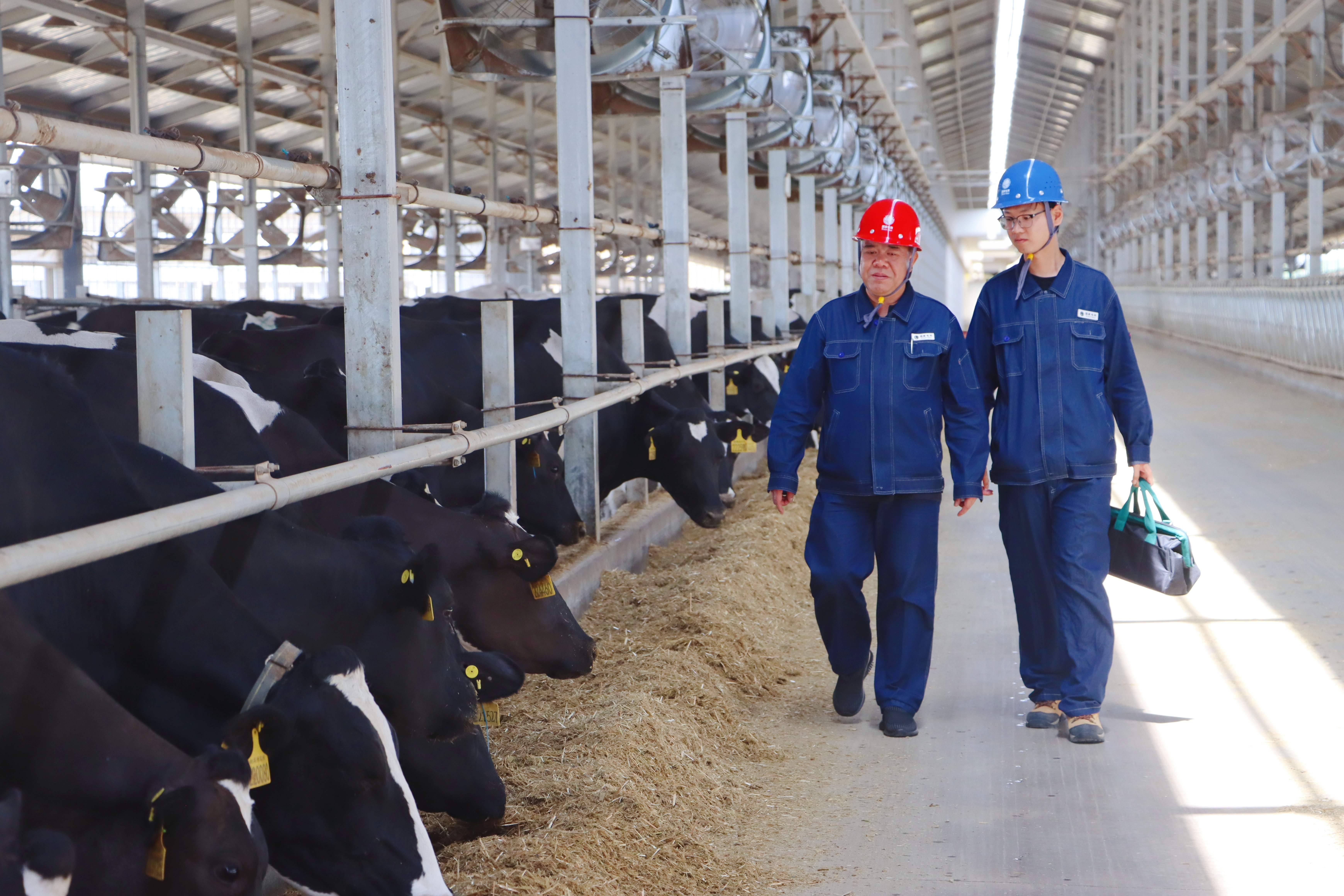 國網(wǎng)蘭州<span id=