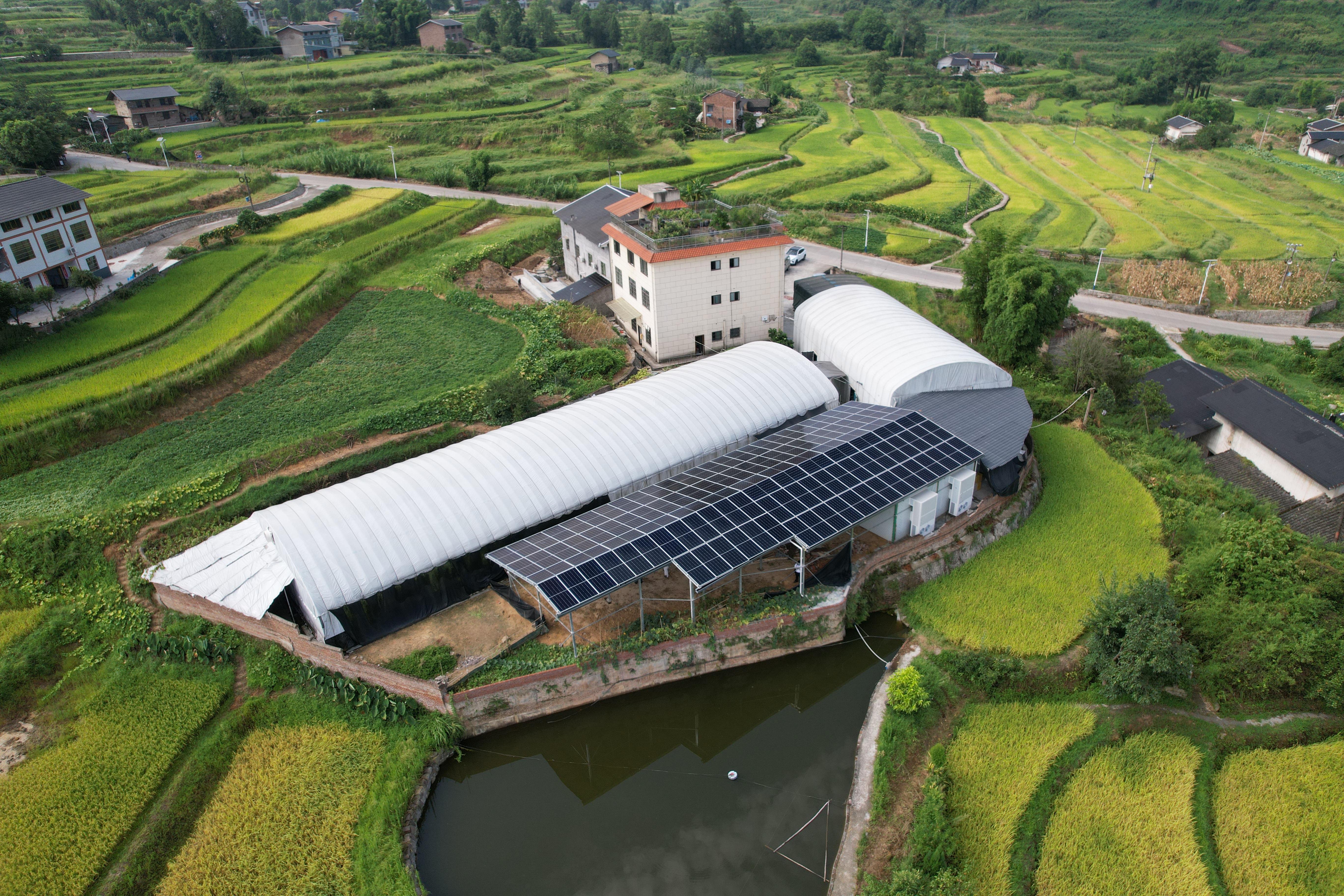重慶綦江：屋頂陽光生“金” 庭院經(jīng)濟興農(nóng).jpg