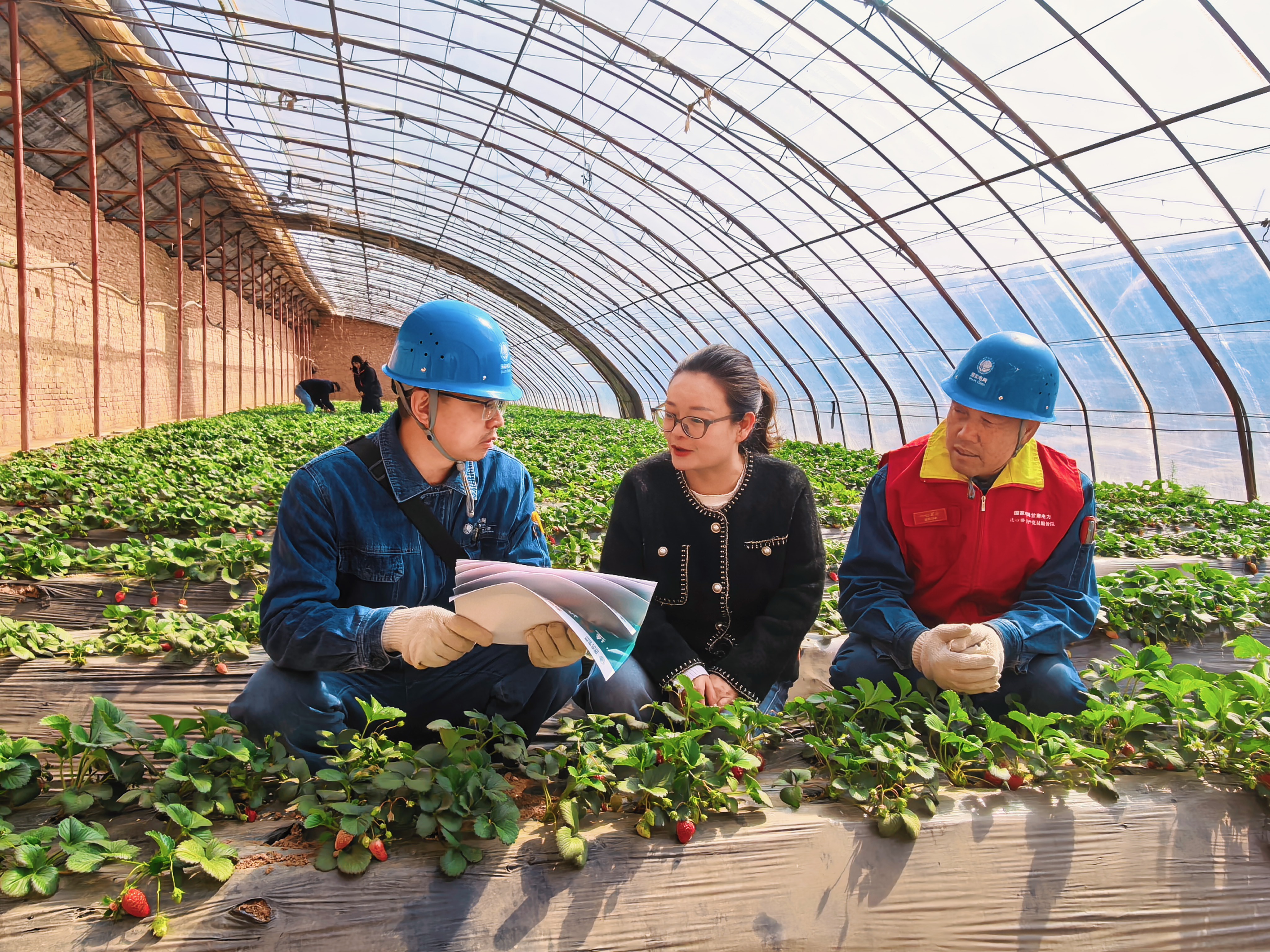 國網(wǎng)蘭州供電公司安寧供電分公司忠和供電所臺區(qū)經(jīng)理王國<span id= 國網(wǎng)蘭州供電公司安寧供電分公司忠和供電所臺區(qū)經(jīng)理王國<span id=