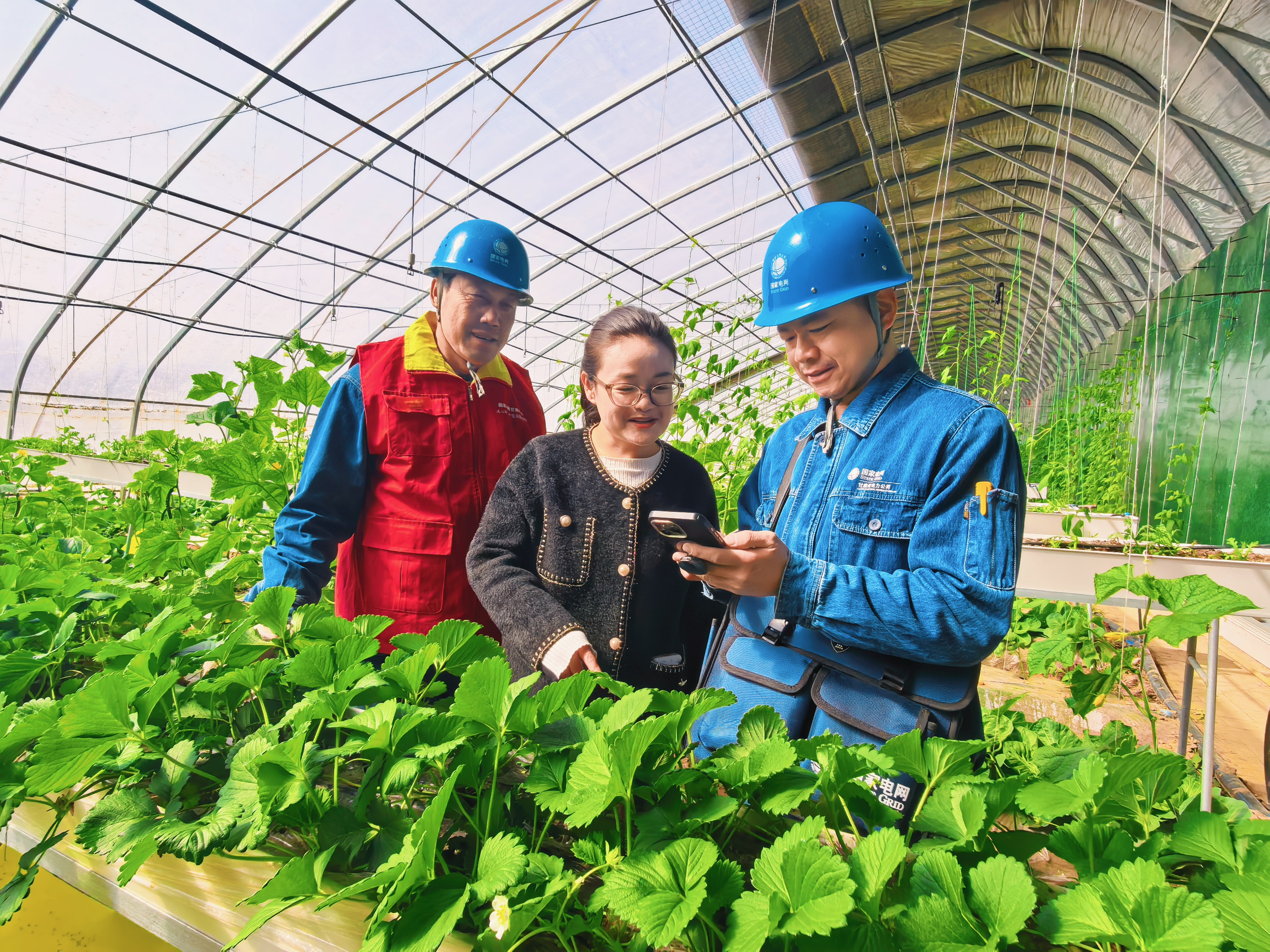 國網(wǎng)蘭州供電公司安寧供電分公司忠和供電所臺區(qū)經(jīng)理王國<span id= 國網(wǎng)蘭州供電公司安寧供電分公司忠和供電所臺區(qū)經(jīng)理王國<span id=