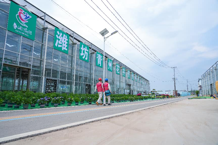 大哥.png 大哥.png