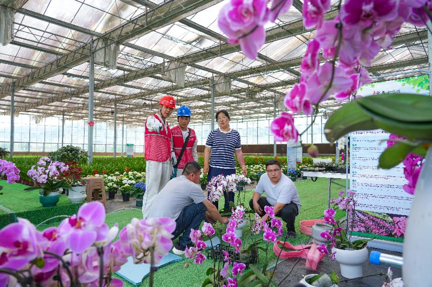 色粉絲.png 色粉絲.png