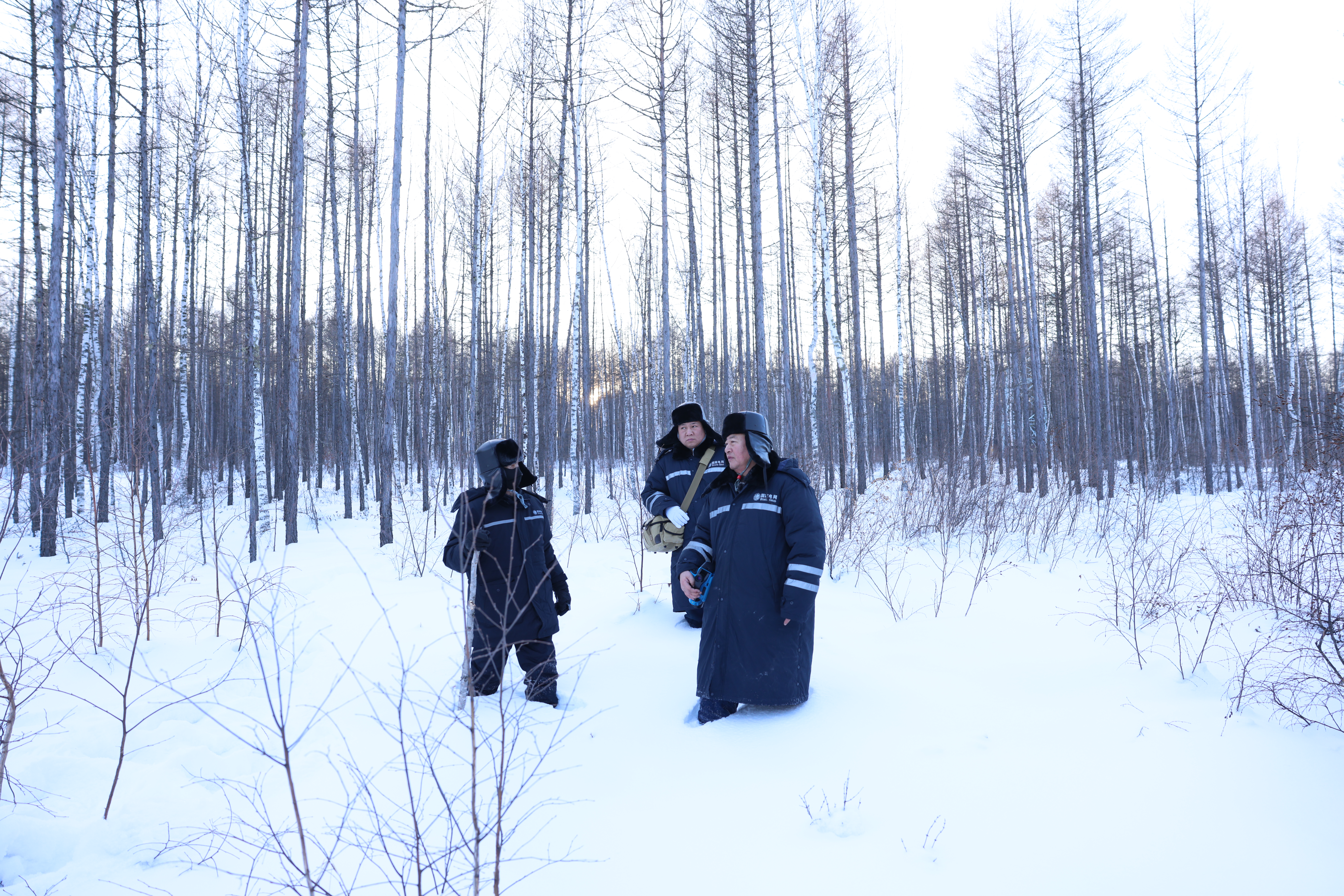 16edf82832b6ac9de9a5d234af8f4e7.jpg 16edf82832b6ac9de9a5d234af8f4e7.jpg