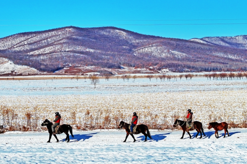 國家電網(wǎng)：扛牢保供責(zé)任 守護(hù)萬家溫暖